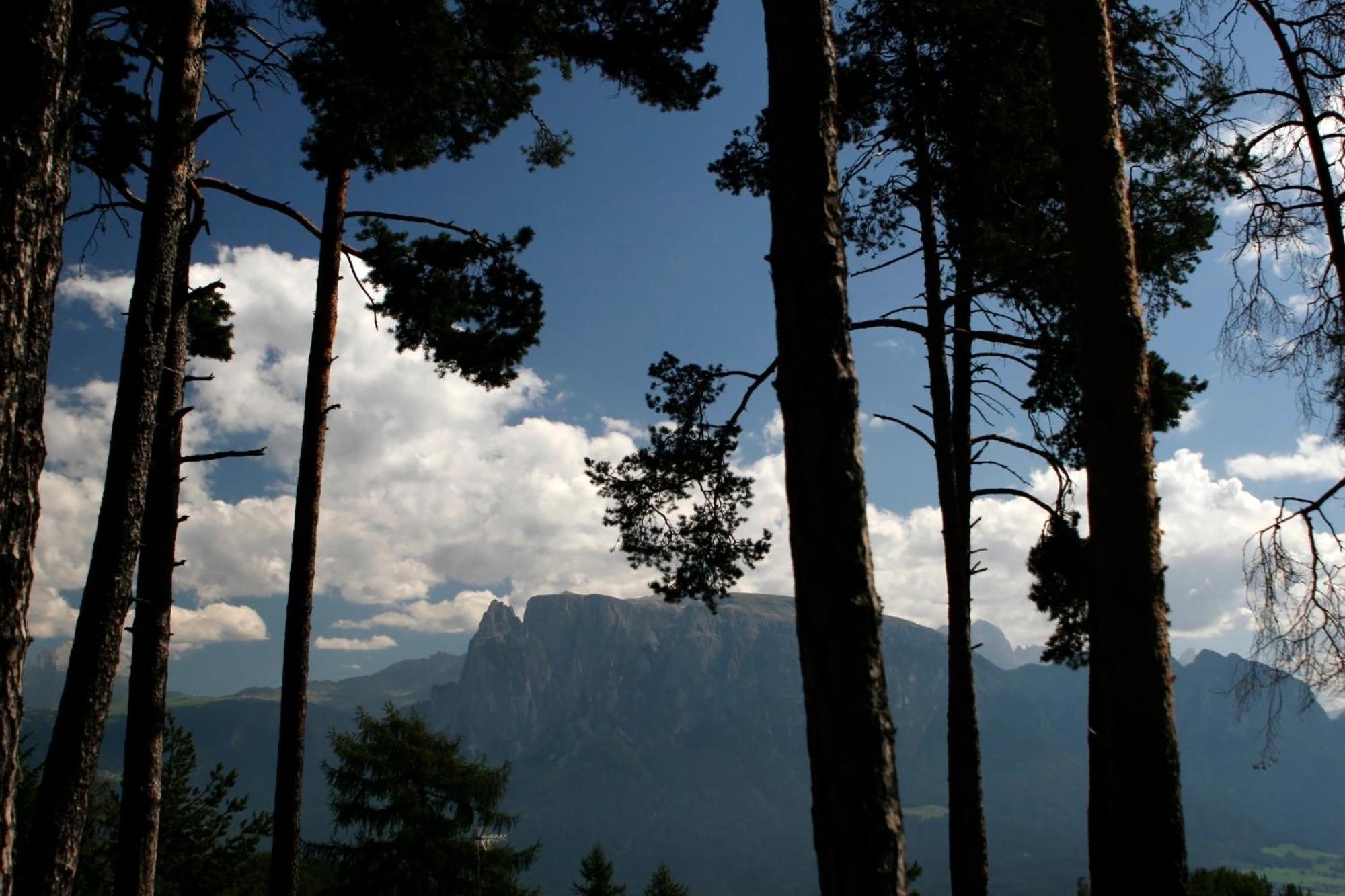 Gasthaus Bad Siess Longostagno Bagian luar foto