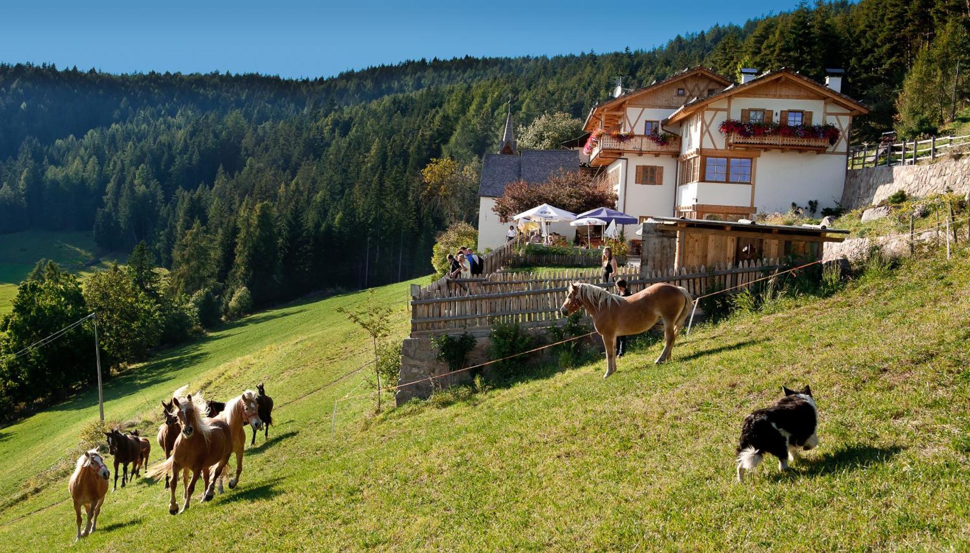 Gasthaus Bad Siess Longostagno Bagian luar foto